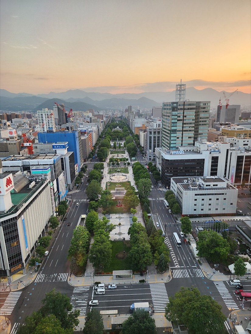 삿포로 오도리공원과 삿포로 TV타워가 보이는 도심 풍경